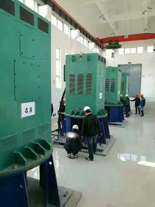 德江某污水处理厂使用我厂的立式高压电机安装现场