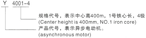 西安泰富西玛Y系列(H355-1000)高压德江三相异步电机型号说明